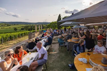 Eine lebhafte Terrasse mit vielen Gästen, die inmitten von Weinbergen speisen und trinken. Der Himmel ist klar und die Atmosphäre ist entspannt.