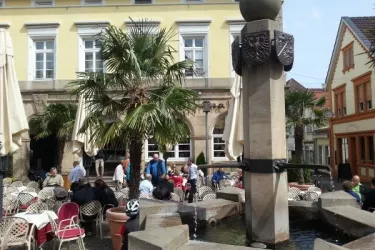 Cortina Außenbereich