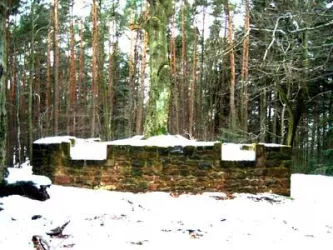 Ruine im Winter (© Stadt Bad Dürkheim)