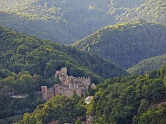 Burg mit Pfälzerwald (© Stadt Bad Dürkheim)