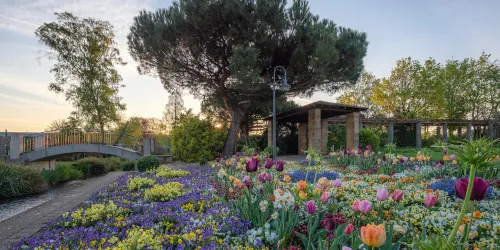 Kurpark