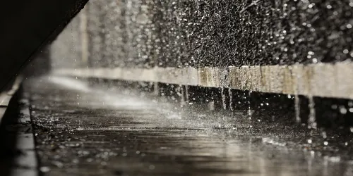 Sole (© Stadt Bad Dürkheim)