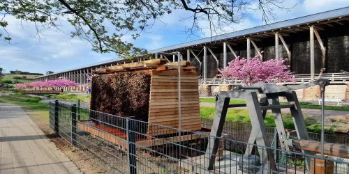 Saline in Miniatur (© Stadt Bad Dürkheim)