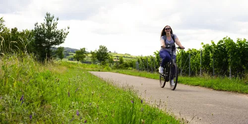 Radfahrerin in den Weinbergen (© Stadt Bad Dürkheim)