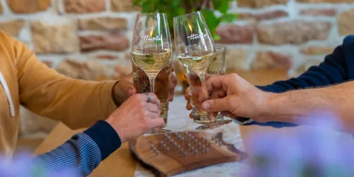 Anstoßen Weinprobe (© Stadt Bad Dürkheim)