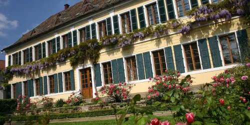 Weingut Fitz-Ritter (© Stadt Bad Dürkheim)