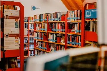 Stadtbücherei_Auswahl (© Lena Geib Photographie)