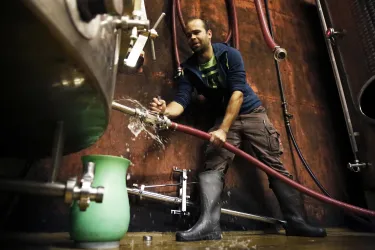 Arbeit im Weinkeller