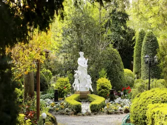 Flora
