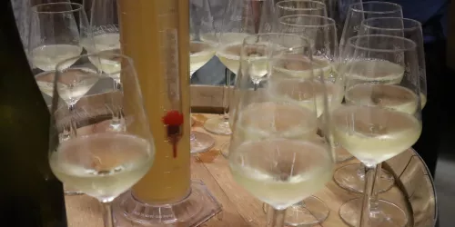 Weinprobe