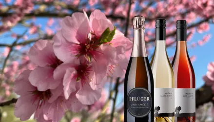 VinoLumino im Weingut Pflüger