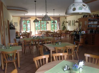 Ein einladendes Restaurant mit Holzstühlen und Tischen. Große Fenster lassen viel Licht hinein und bieten einen Blick ins Grüne.