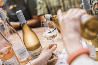 Eine Hand gießt Wein in ein Glas, während mehrere Flaschen Wein im Hintergrund stehen. Die Atmosphäre ist gesellig und einladend.