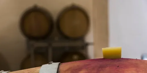 Weinfass im Keller (© C)