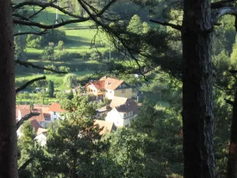 Blick vom Schafstein (© Fam. Reiß)