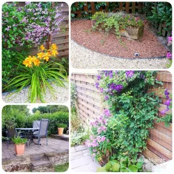 Gartenimpressionen 1