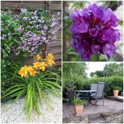 Gartenimpressionen 2