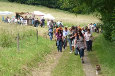 Alte Welt Wandern
