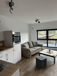 Wohnbereich mit Küche