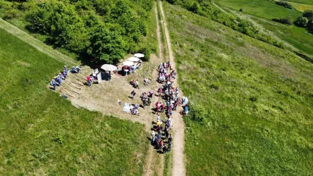Eine Gruppe von Menschen sitzt auf einer Wiese und genießt die Natur. Im Hintergrund sind Bäume und ein Weg sichtbar.