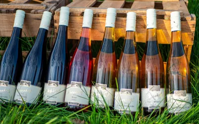 Rosenhof_Sortiment (© Wein- und Sektgut Rosenhof, Foto Ingrid Arnold)