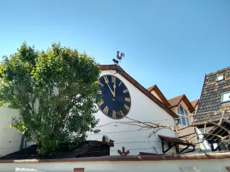 Ein großes Zifferblatt mit römischen Zahlen an der Wand eines Hauses. Im Vordergrund steht ein Baum, und der Himmel ist klar und blau.