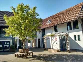 Ein schöner Innenhof mit einem großen Baum und modernen Gebäuden. Die Sonne scheint und es ist ein klarer blauer Himmel zu sehen.