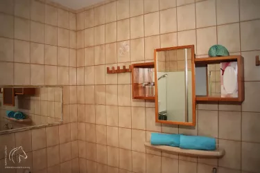 Badezimmer. Spiegel mit Ablage.