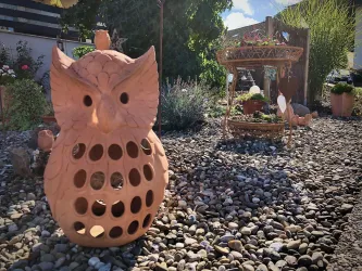 Blick in den Garten