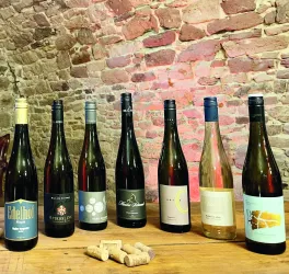 Eine Auswahl von Weinen in verschiedenen Flaschen auf einem Holztisch. Im Hintergrund sind historische Steinmauern zu sehen.