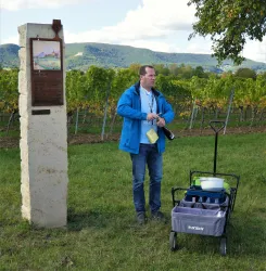 Wein, Wandern & Weingeschichte(n) verkleinert