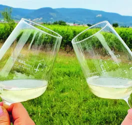 260418 Weingeschichten©2025 Timo Dorsch