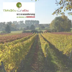 Ein schöner Weinberg mit bunten Reben und einer weiten Aussicht auf die Landschaft. Ideal für eine Weinwanderung.