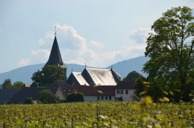 Blick auf Kirrweiler