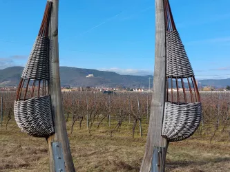 Hambacher Tor