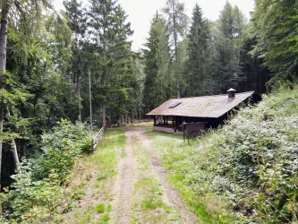 TTC Waldhütte