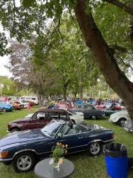 Ein Autofestival im Park mit vielen klassischen Autos und einem großen Publikum. Im Vordergrund steht ein blauer Oldtimer neben einem Tisch mit einer Blumenvase.