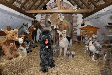 S'Ohrfähnsche Tierwelt