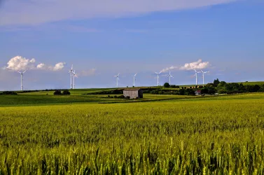 Landschaft (© Verein Südliche Weinstrasse Herxheim e.V.)