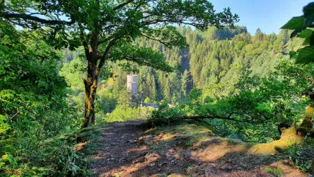Burgblick