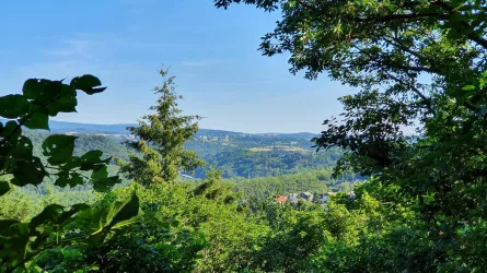 Aussichtspunkt Wildelei_Traumschleife Gräfin Loret