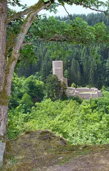 Eine alte Burgruine steht umgeben von dichten, grünen Wäldern. Der Turm reicht hoch über die Baumkronen hinaus.