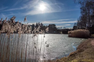 9740_Silbersee_Kindsbach_2018 (© VG Landstuhl, Fotograf Hafner)
