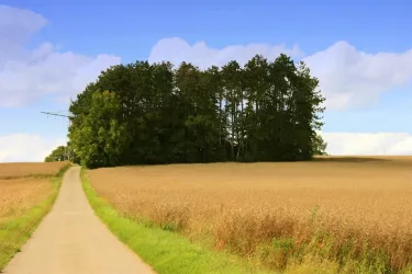 Pfarrhöfchen1