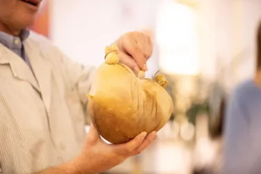 Eine Person hält einen ganzen Saumagen in der Hand