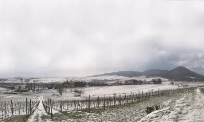 Winterlandschaft bei Siebeldingen