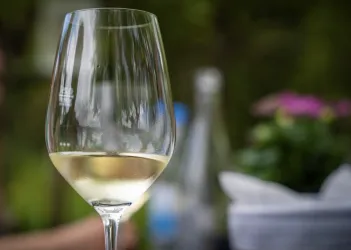 Ein elegantes Glas Weißwein steht im Vordergrund. Im Hintergrund sind Pflanzen und Flaschen zu sehen.