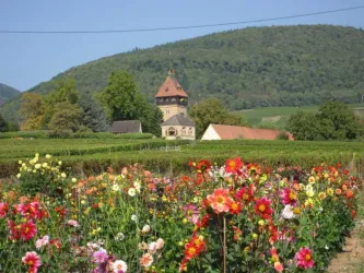 das Julius Kühn Institut (Geilweilerhof) (© Waltraud Kappes)