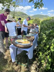 Eine Gruppe von Menschen genießt ein Buffet im Freuen, inmitten der Weinberge, der Südlichen Weinstrasse. Auf dem Tisch sind verschiedene Gerichte und Pfälzer Speisen zu sehen.