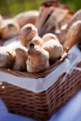 Kügler Mühle Brot